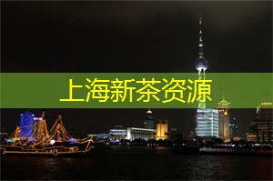 上海骑行的最佳路线分享